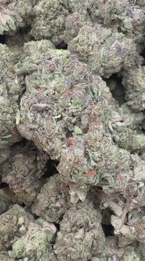Heir Heads - Bulk - Indica