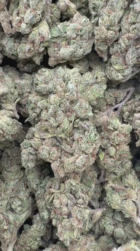Bubble Yum - Bulk- Hybrid
