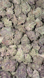 Truffle Minis - Bulk Minis- Indica