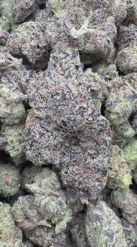 Pink Runtz Indoor Mediums - Bulk Mediums - Hybrid