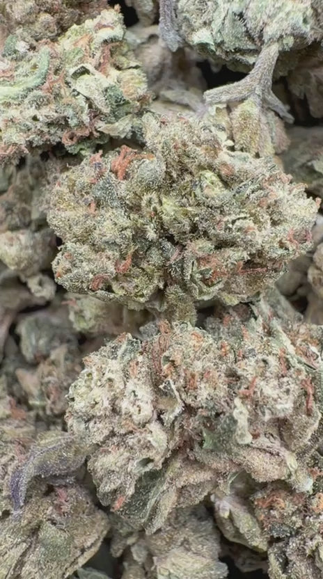 Peanut Butter Cup Minis - Bulk Minis - Indica