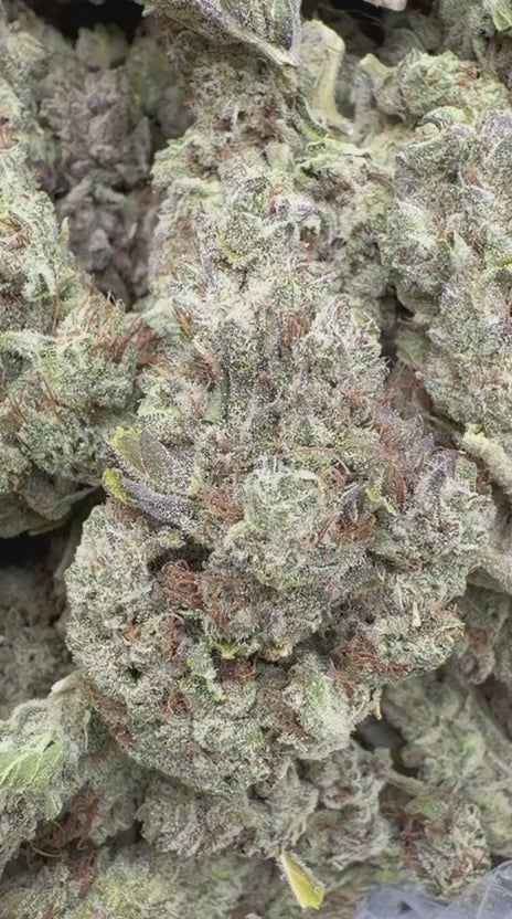 Blue Punch - Bulk - Indica