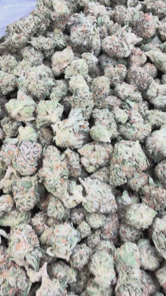 Jolly Ranchers Minis - Bulk Minis - Indica