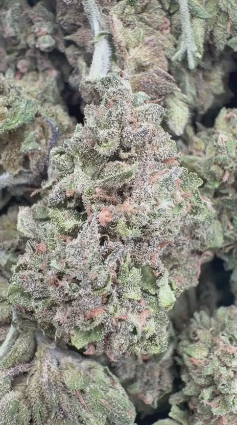 Gummiez - Bulk - Hybrid