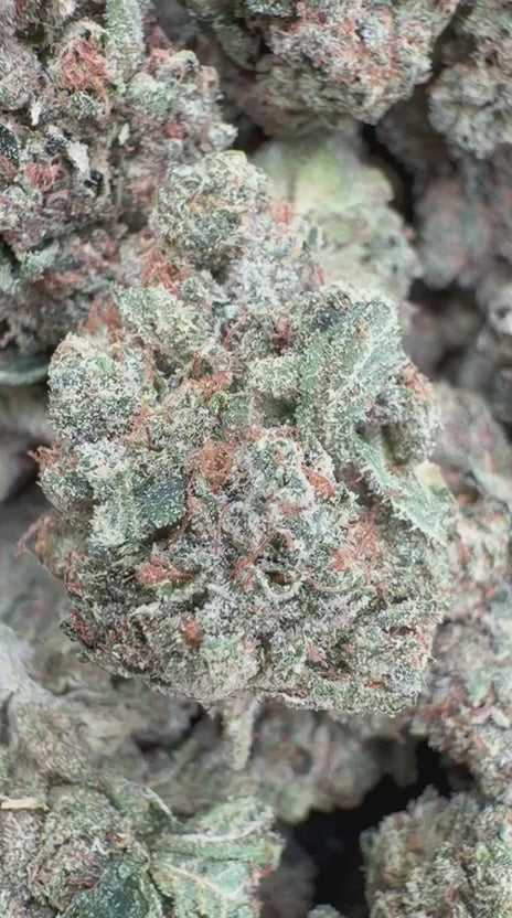 Marathon OG Indoor - Bulk - Indica