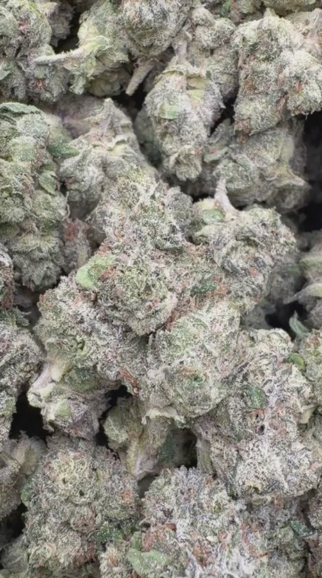 Banana Runtz Indoor Mediums - Bulk Mediums - Hybrid