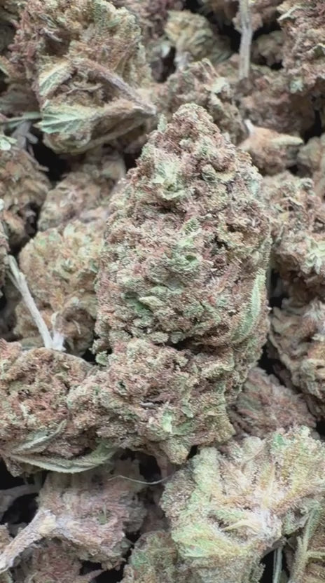 Super Lemon Haze - Bulk - Sativa