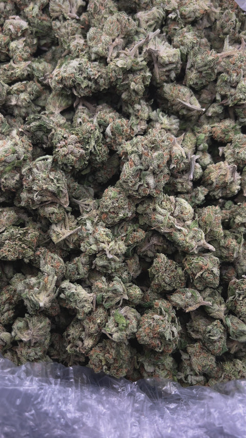 Blue Dream - Bulk - (Sativa)