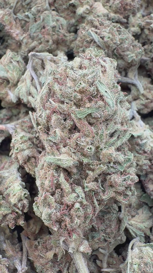 AK 47 - Bulk - Hybrid