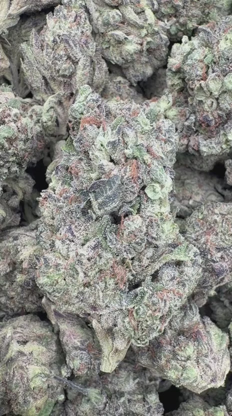 Purple Kush - Bulk - Indica