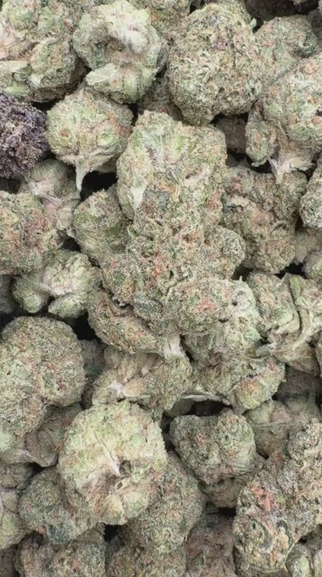Wedding Cake Mediums - Bulk Mediums - Indica