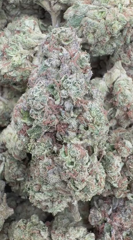 Bruce Banner - Bulk - Hybrid