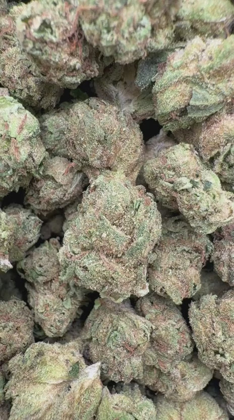 Pink Runtz Minis - Bulk Minis - Hybrid