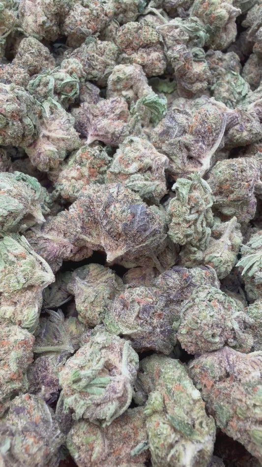 24K Gold Mediums - Bulk Mediums - Indica