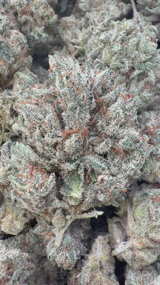 Pre 98 Bubba Indoor - Bulk- Indica