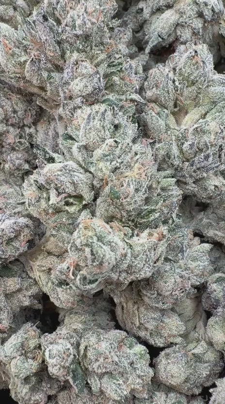 Better Than Yours Indoor - Bulk - Indica
