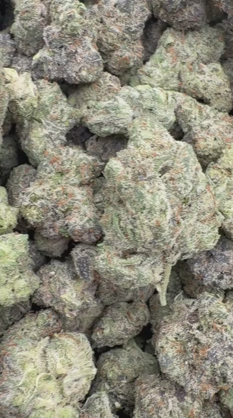 Lemon Cherry Gas Indoor Mediums - Bulk Mediums - Hybrid