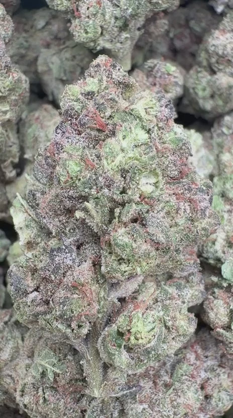 Hashburger - Bulk - Indica