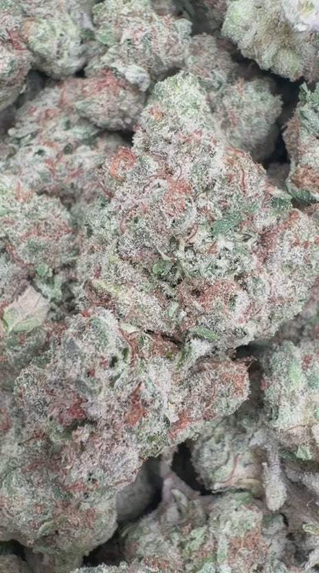 Blueberry Muffins - Bulk - Indica