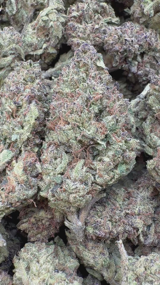 Purple Diesel - Bulk - Hybrid