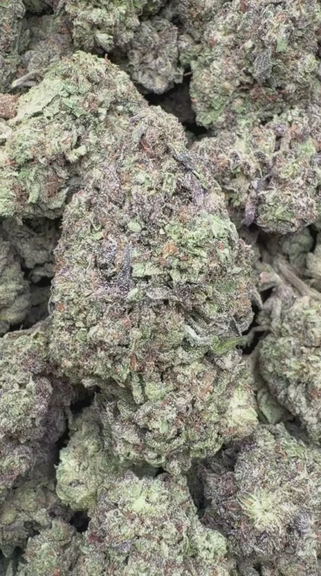 Wedding Crasher - Bulk - Indica