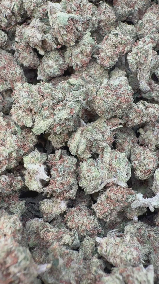 Sour Apple Indoor Minis - Bulk Minis - Hybrid