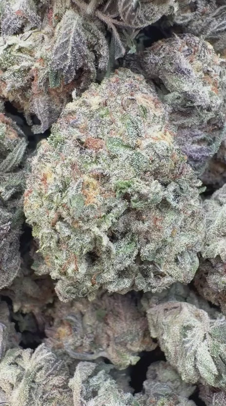 Cakemera - Bulk - Indica