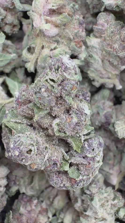 Super Boof - Bulk - Hybrid