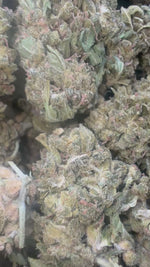 Acupulco Gold - Bulk - Sativa