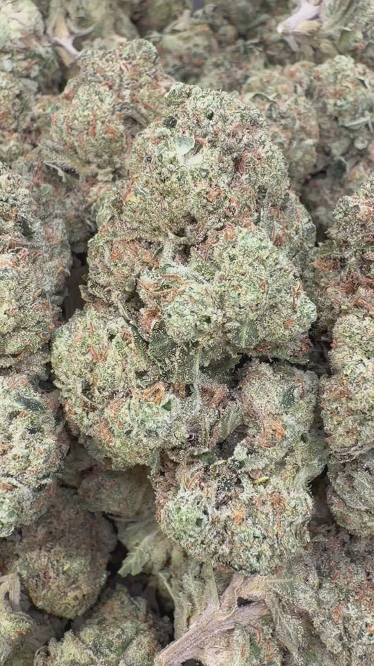 Gas Face Indoor - Bulk - Indica