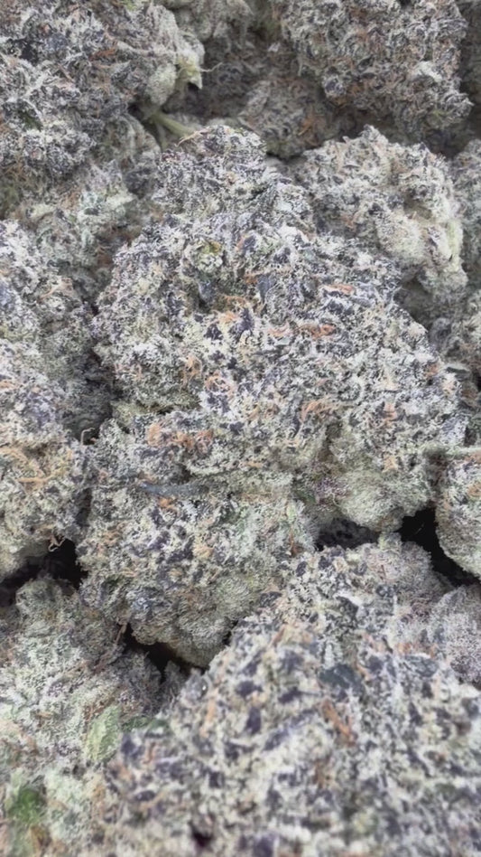 Elite Boutique Exotic Purple Nerdz - Bulk - Indica