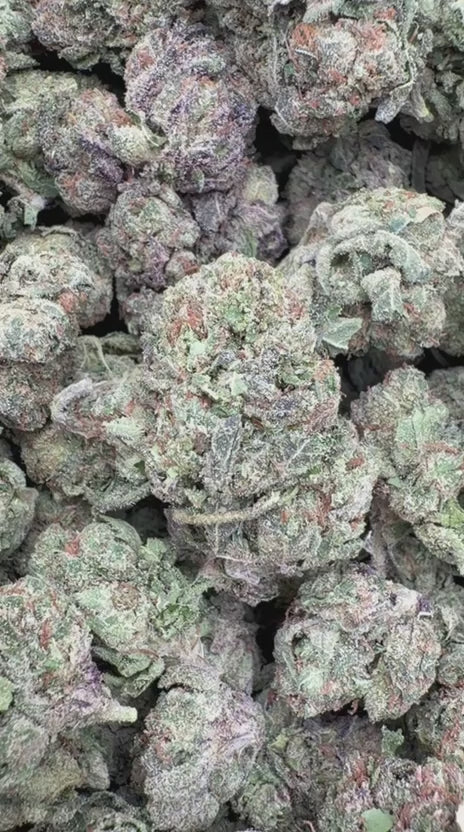 Gas Candy - Bulk - Hybrid