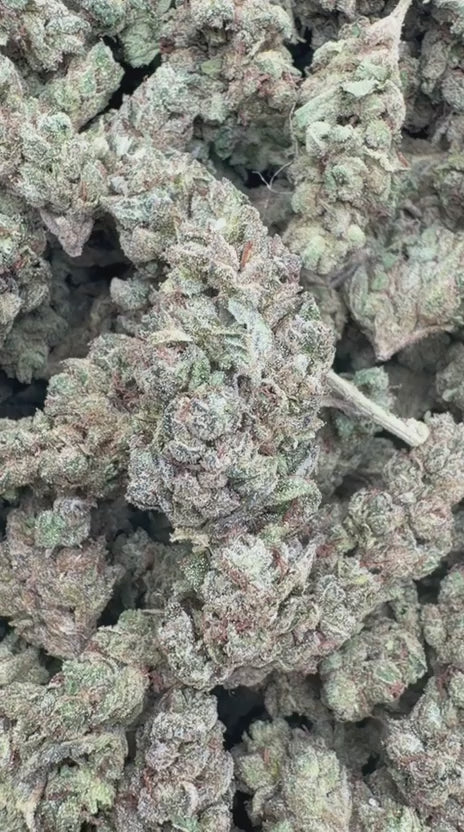 Zkittles x Mochi - Bulk - Hybrid
