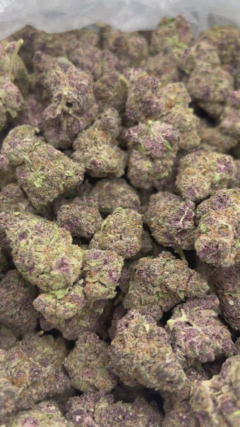 Trop Cherry - Bulk (Sativa)