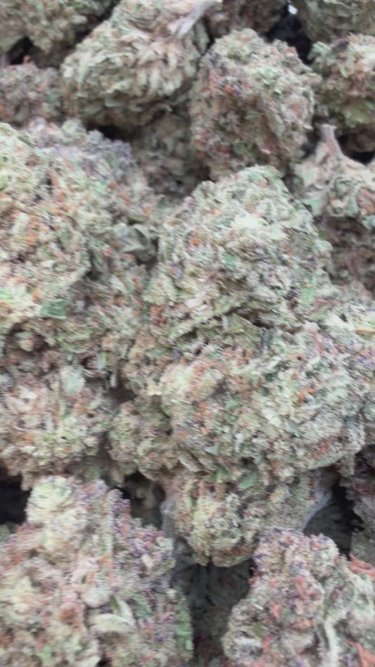 NYC Sour Diesel - Bulk - Sativa