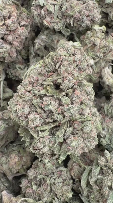 Fire OG - Bulk - Indica