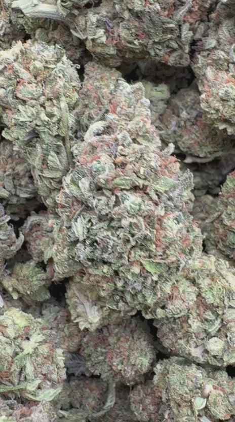 Peanut Butter Cup - Bulk - Indica