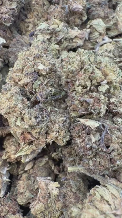 Cherry Runtz - Bulk- Hybrid