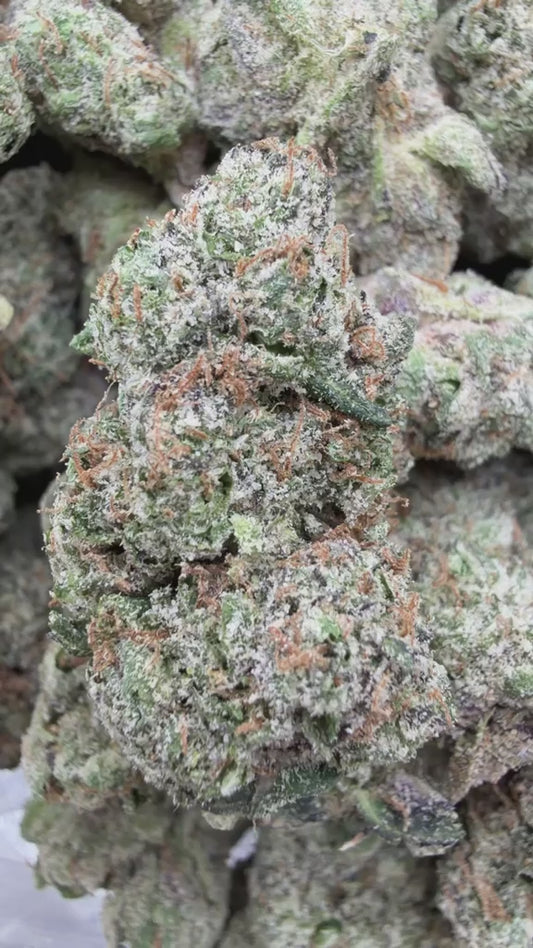 Fidel Runtz Indoor - Bulk - Hybrid