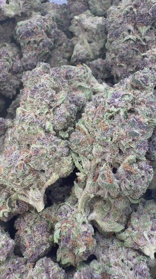 Forbidden Fruit Indoor - Bulk - Indica