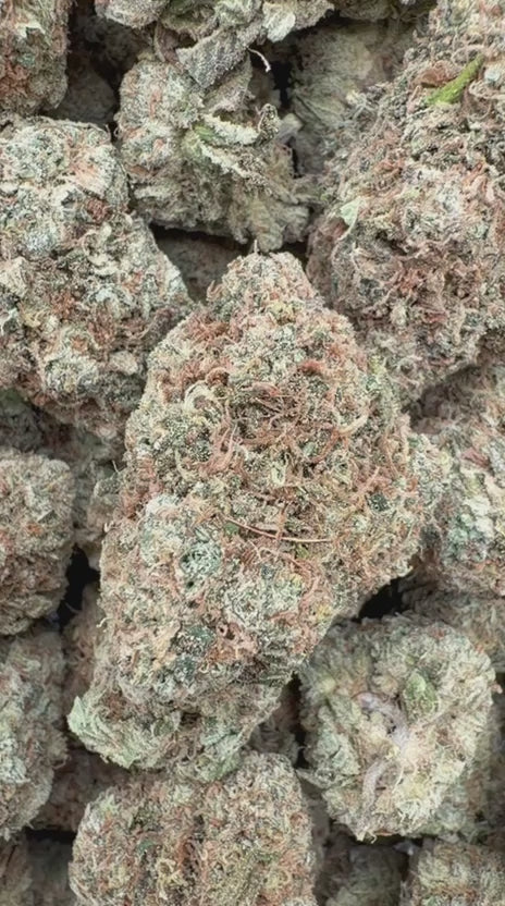 Banana Runtz - Bulk - Hybrid