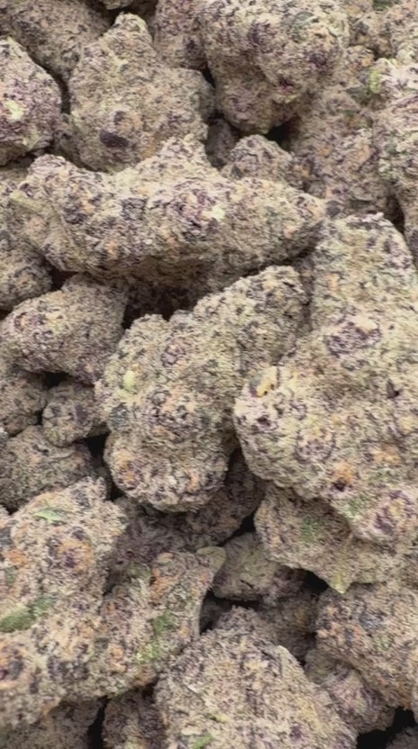 Platinum Berry Indoor - Bulk - Hybrid