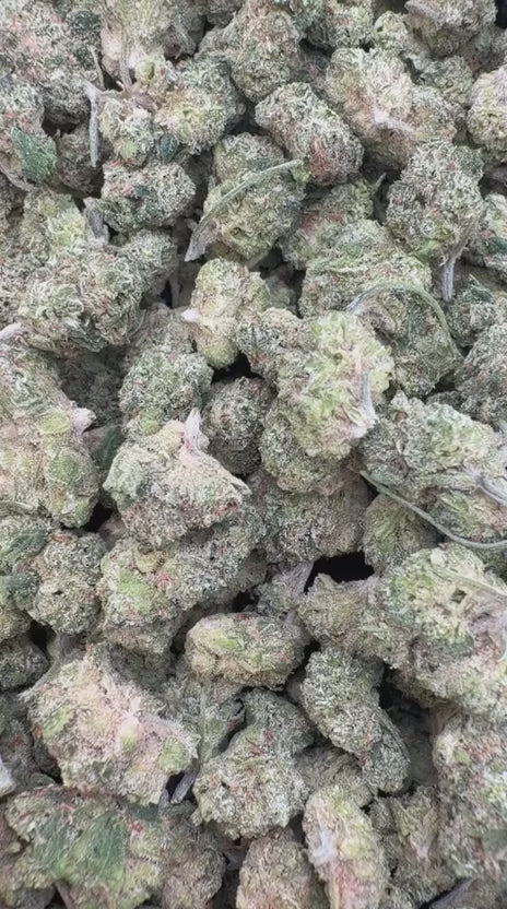 Double Dream Minis - Bulk Minis - Sativa