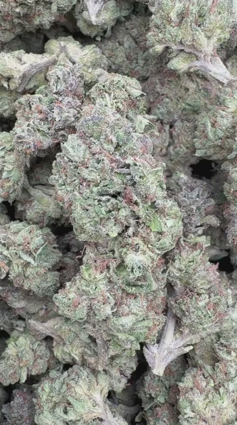 Maui Wowie - Bulk - Sativa