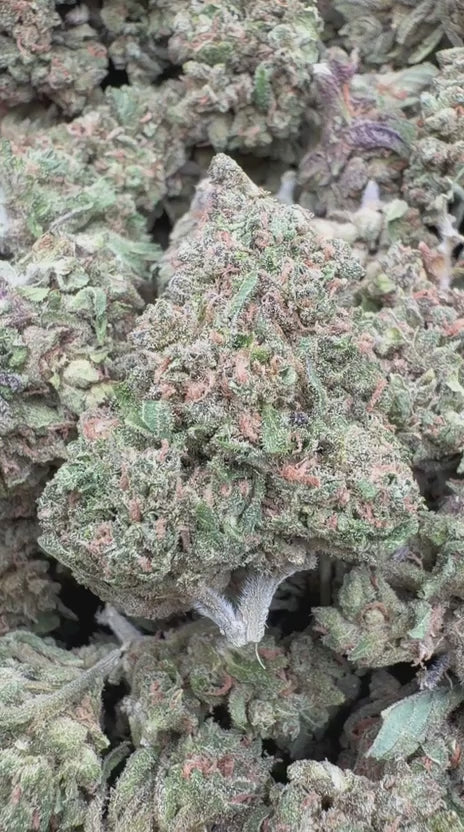 Cranberry Kush - Bulk - Hybrid