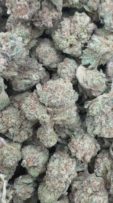 Oreoz Minis - Bulk Minis - Indica