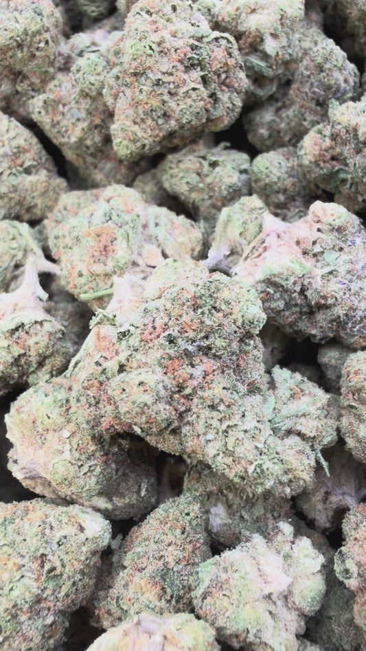 Apple Fritter Mediums - Bulk Mediums - Hybrid