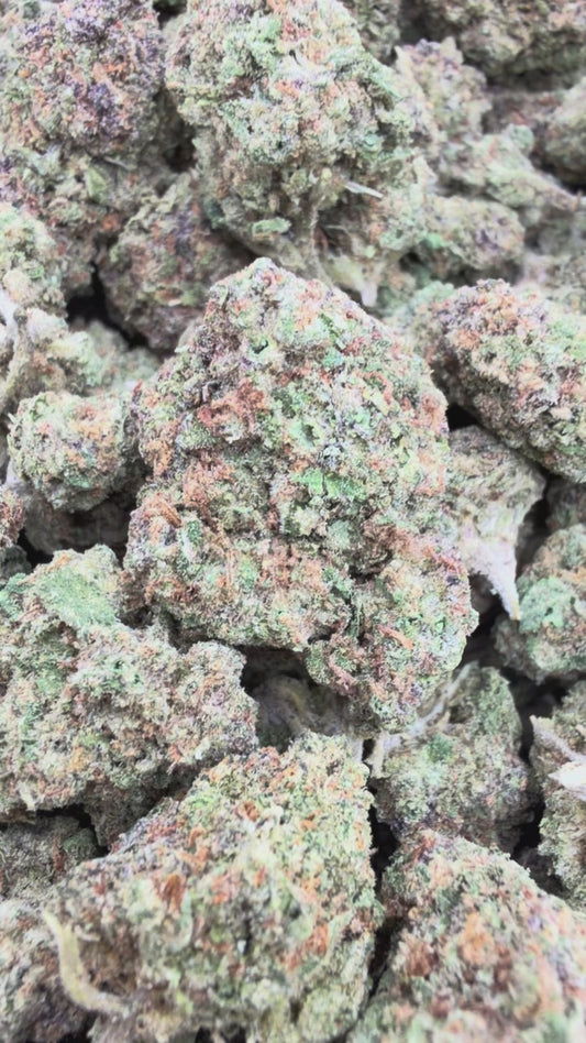 Durban Poison Mediums - Bulk Mediums - Sativa