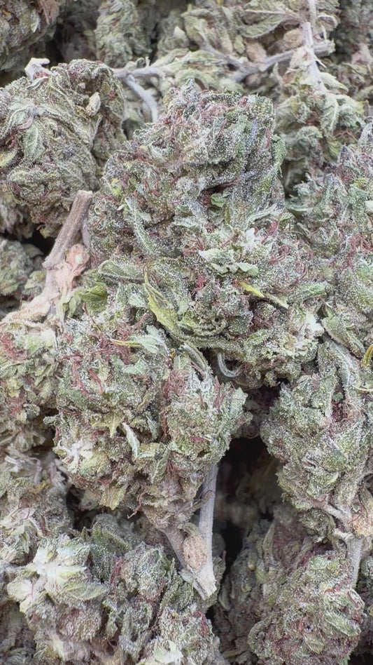 Space Runtz - Bulk - Hybrid