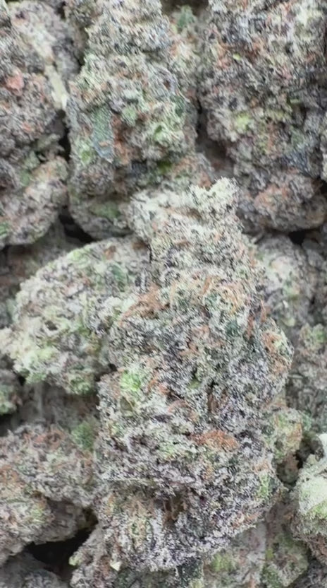 Han Solo Burger Indoor - Bulk - Indica